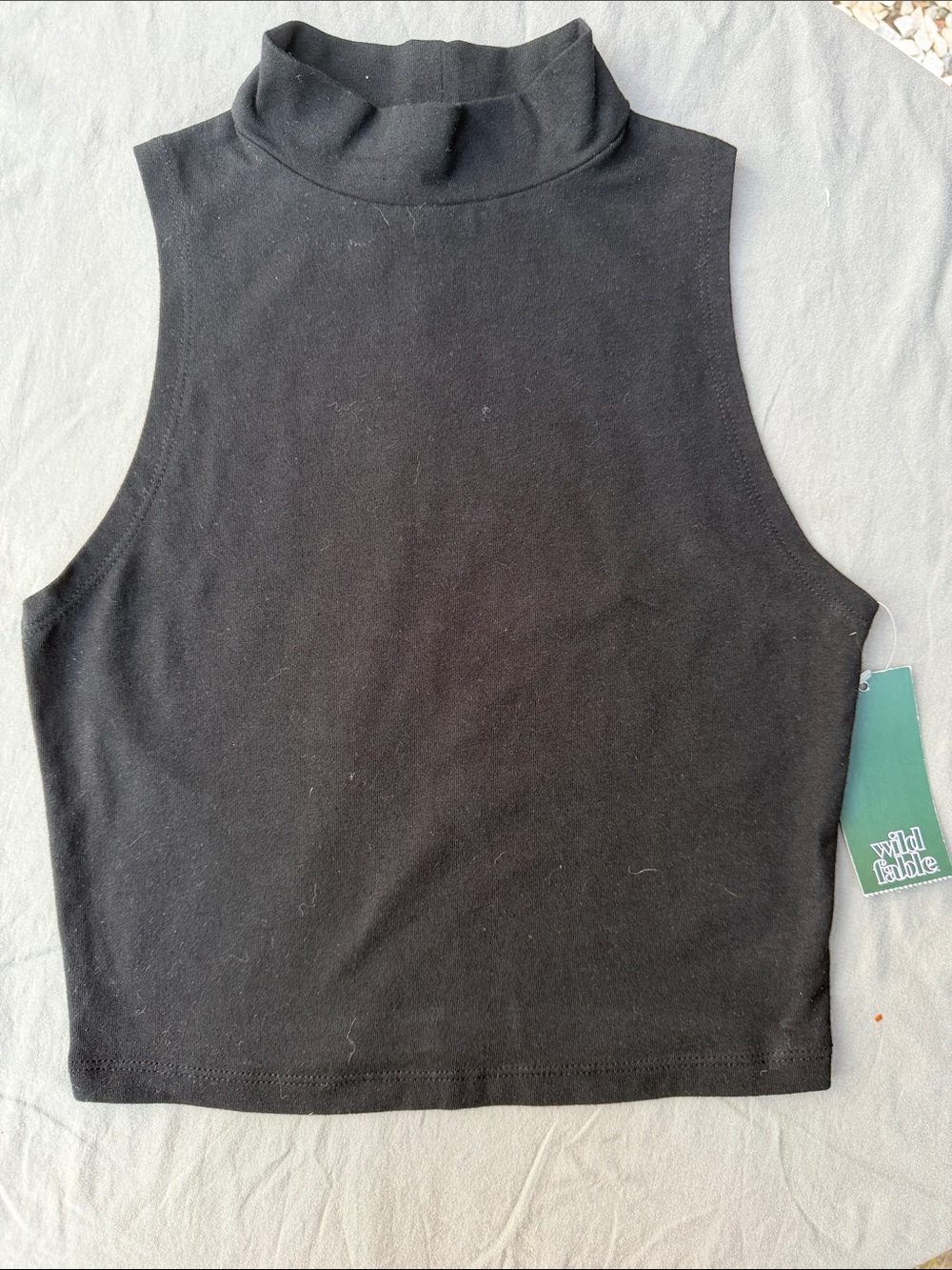 Wild fable Black Sleeveless Mock Neck Crop Top